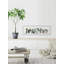 «Sturdy Interior Plants» - Impression de cadre photo sur papier-50069680