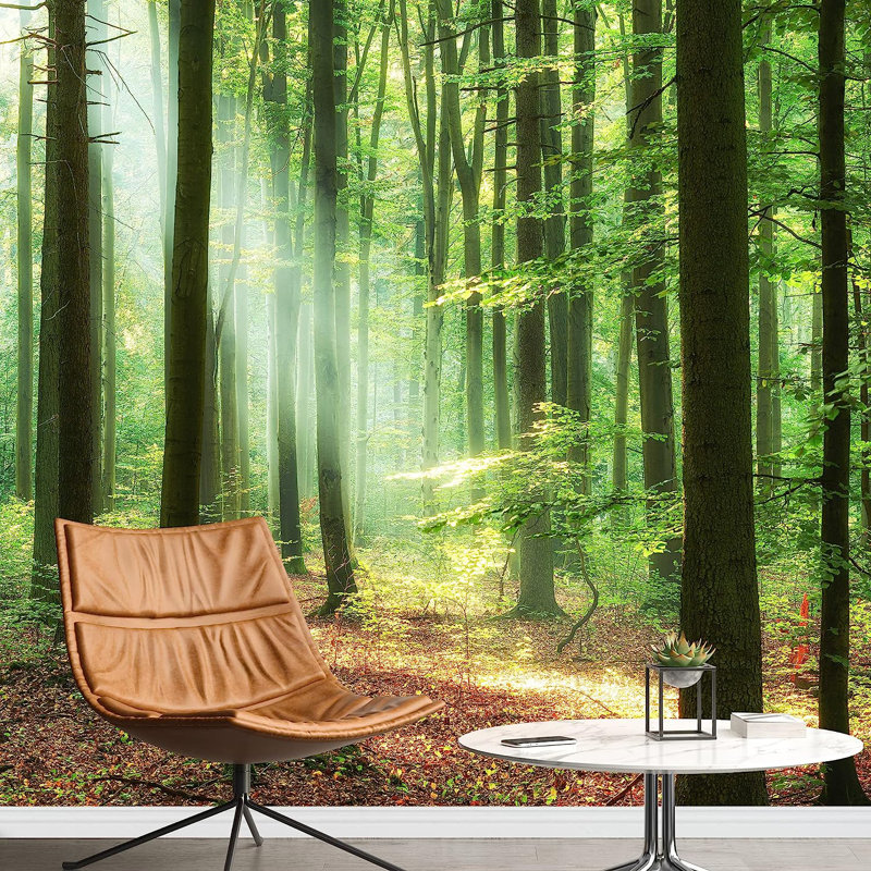 Forest Nature Landscape Peel & Stick Clear Border, 100" L x 144" W
