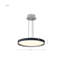 Rapheale - luminaire suspendu DEL 20 po - gris avec revêtement - lentille en acrylique-1652427204