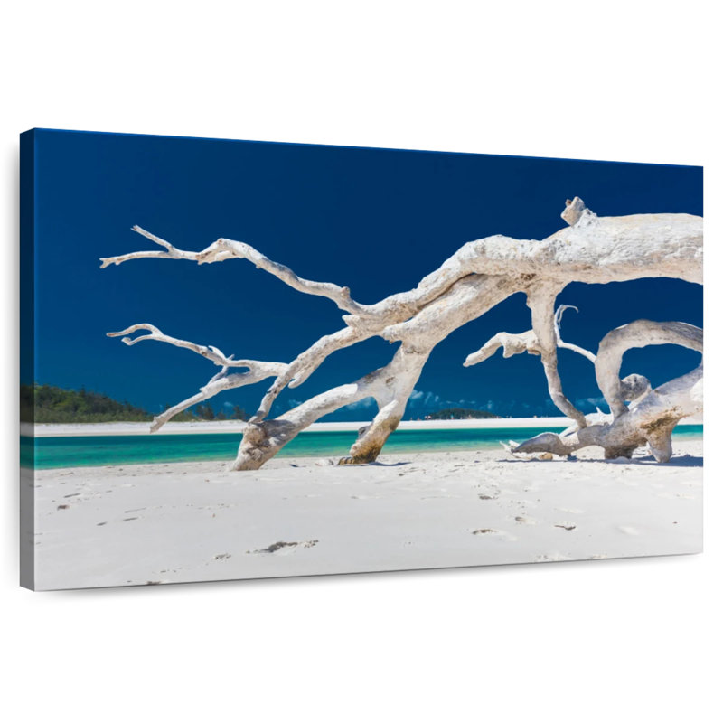 Gillard Whitehaven Gillard Driftwood, H 8 po x l 12 po