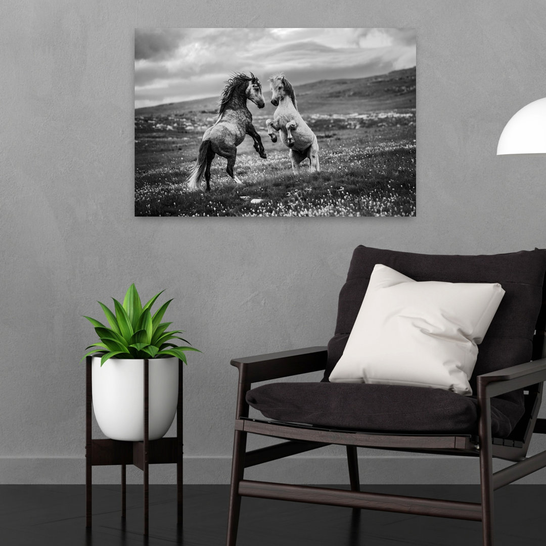 Wild Horses Rearing Dramatic Contemporary Horse Nature Wildlife Wall Art Print