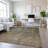Premium Machine Washable Kumbhar AMF1363 Modern Rug-1392564558