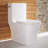 Concorde One-Piece Square Toilet