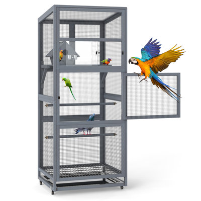 Bird