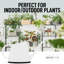 Arrosoir pour plantes d'intérieur Zulay-86738549