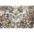 Darwen Performance Oriental Indoor Rug-1659594370
