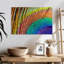 Plume de paon Brampt-108821913