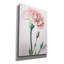 «Powder Pink Carnations» par Design Fabrikken, art mural sur toile-1419033468
