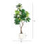 Plante de figuier artificiel 6 pi 6 pi pour décoration de maison et de bureau