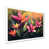 White is unavailable