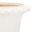 Paul Planter-1580002754