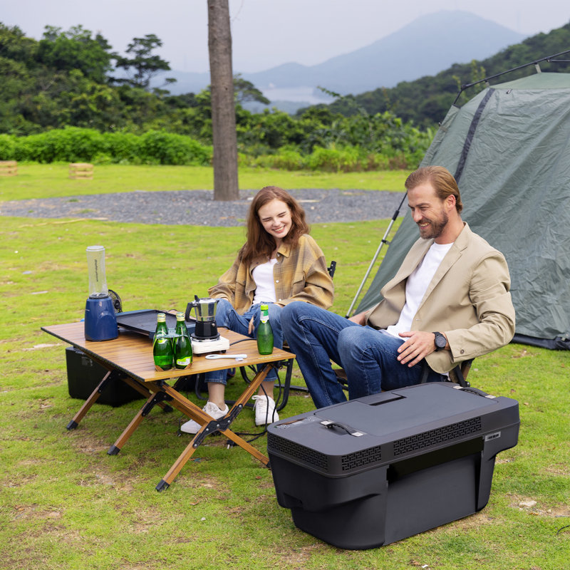 Chery 35Qt Black Portable Car Cooler with Smart App Control