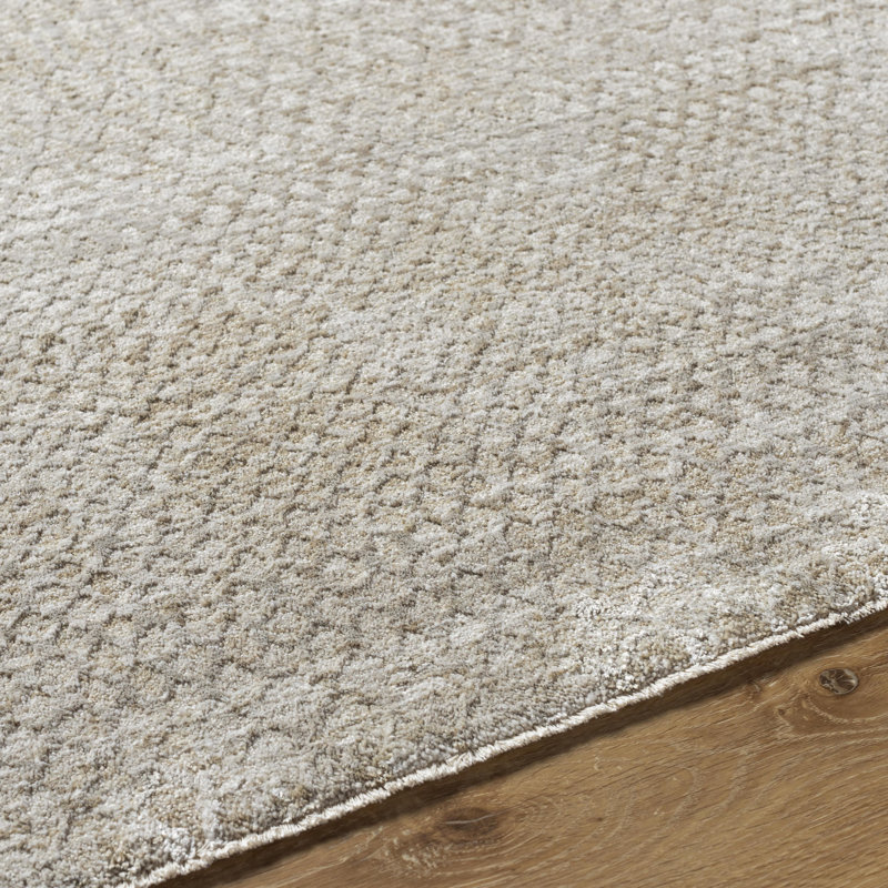 Tapis gris en polyester tissé à la machine Rhylei, Rectangle 5 pi x 7 pi 5 po