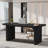 Girace 62.99'' W Modern Simple Executive Computer Desk with Engineered Wood Top and Legs-2038701772
