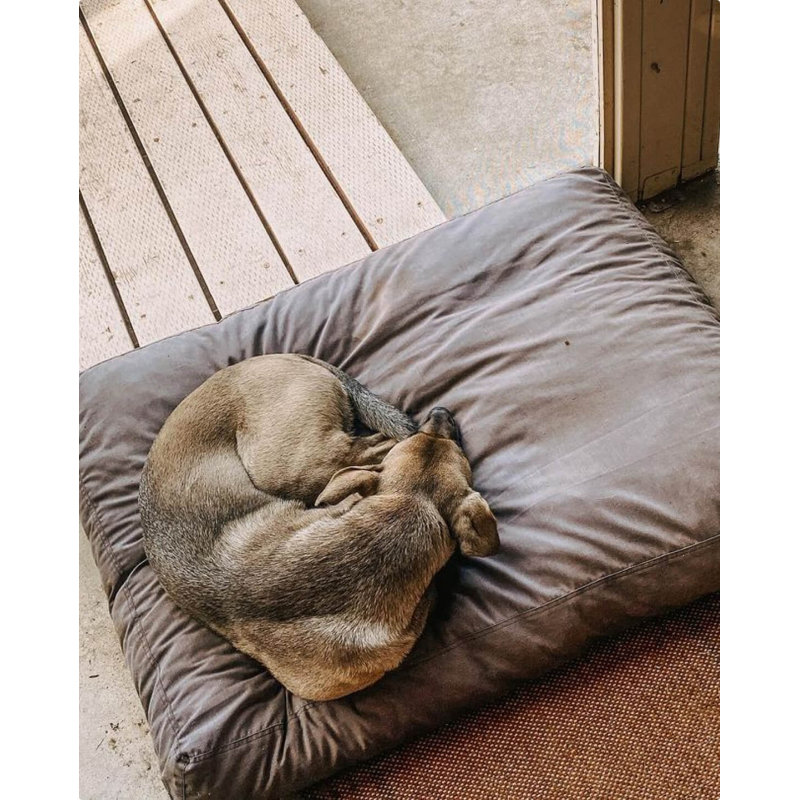 Signature Pillow/Classic Bed, Dark Shadow, Extra Large (30" W x 40" D x 5" H)