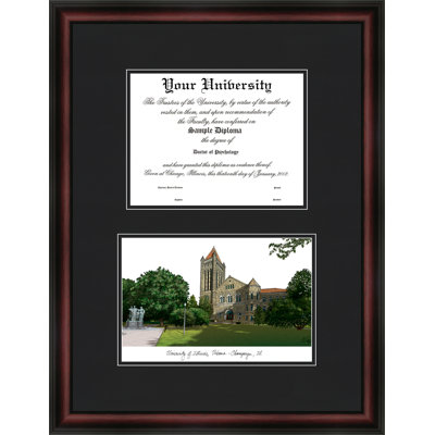 NCAA Illinois Fighting Illini Diplomate Diploma Frame