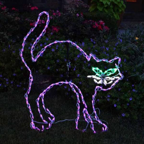 Affichage éclairé par chat noir de led