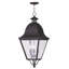 Lanterne suspendue d'extérieur 4 lumières Penlope-2098458972