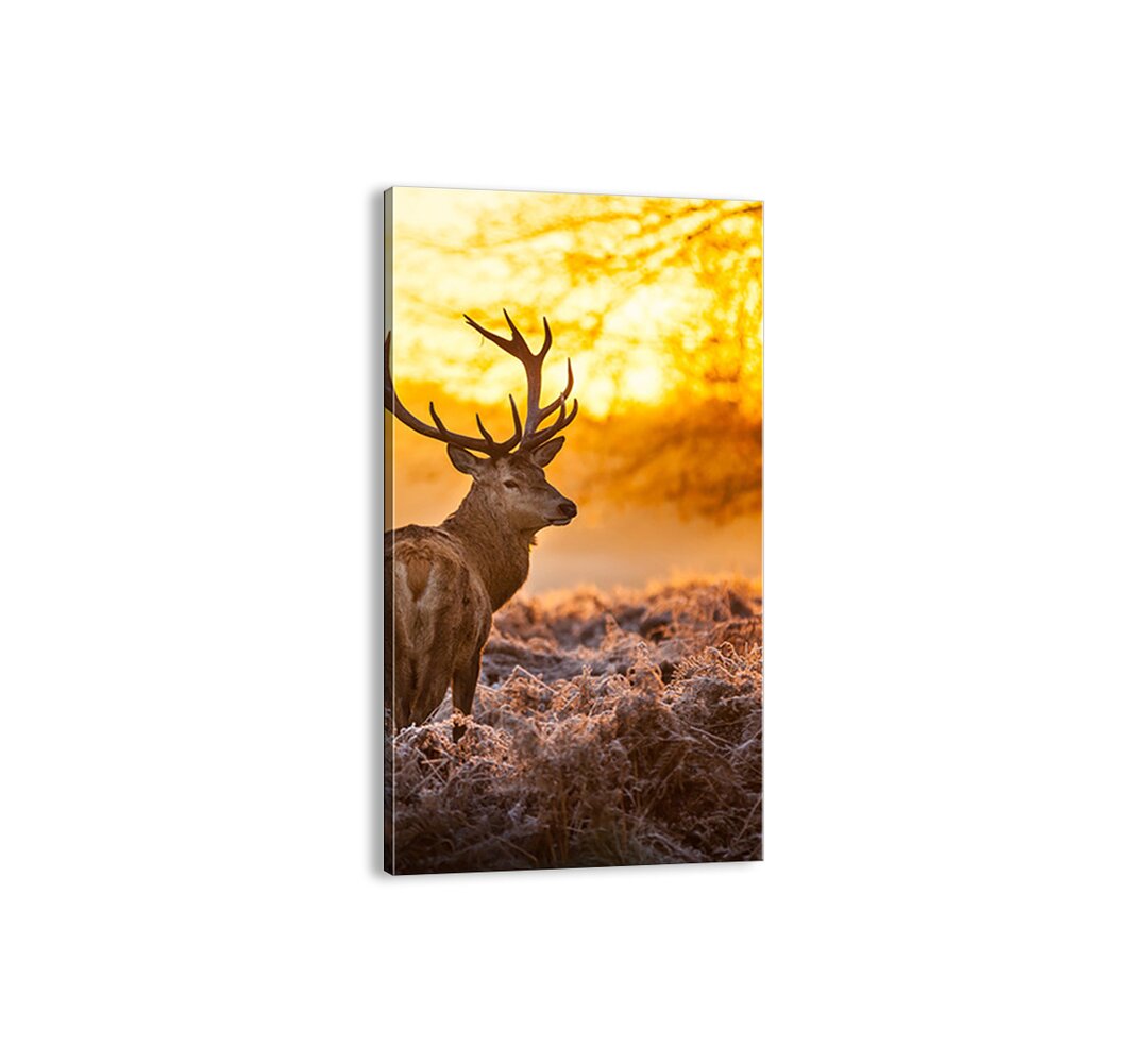 Leinwandbild - Fotografie "König des Herbstwaldes"