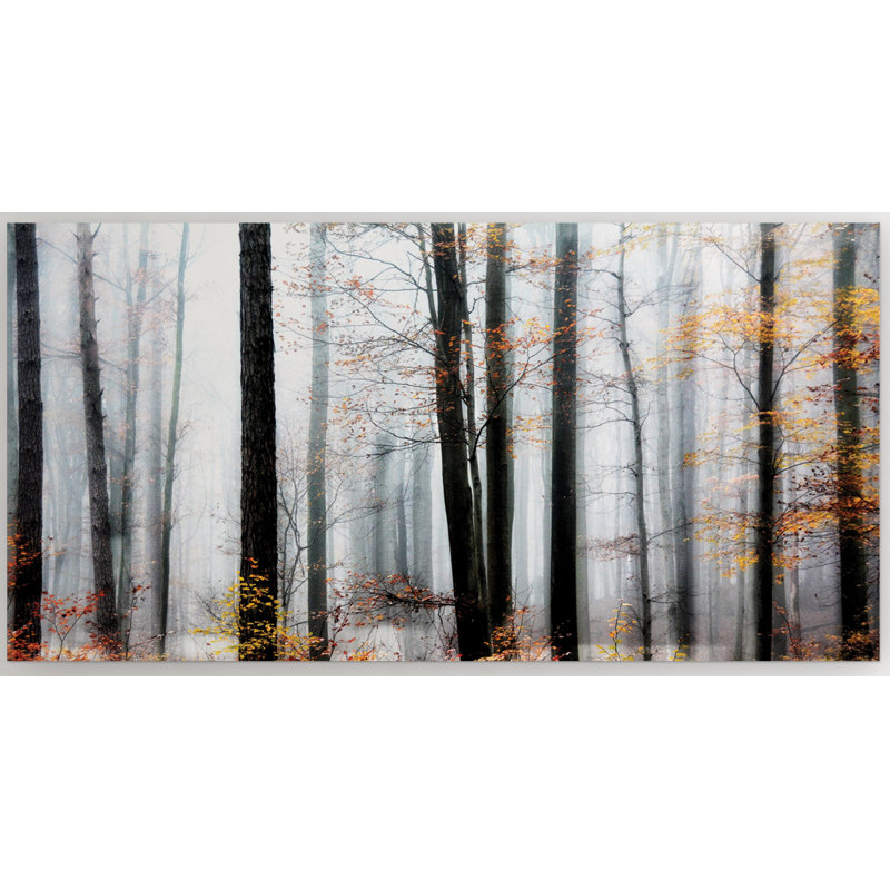 " Daylight Enraptured ", 16" H x 32" W x 1.5" D
