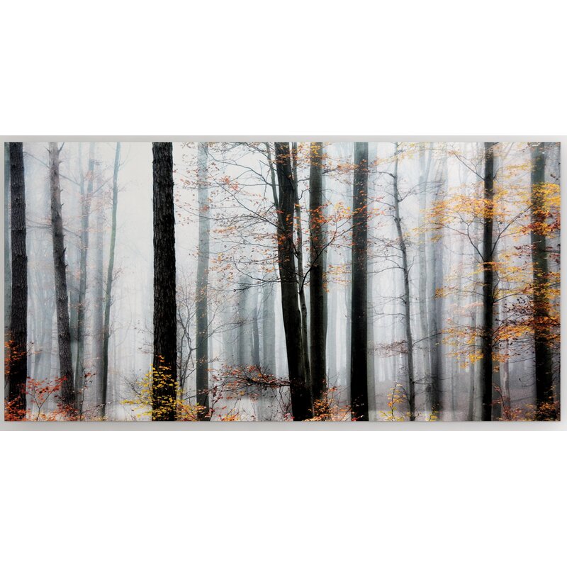 Loon Peak® Daylight Enraptured On Canvas Print | Wayfair