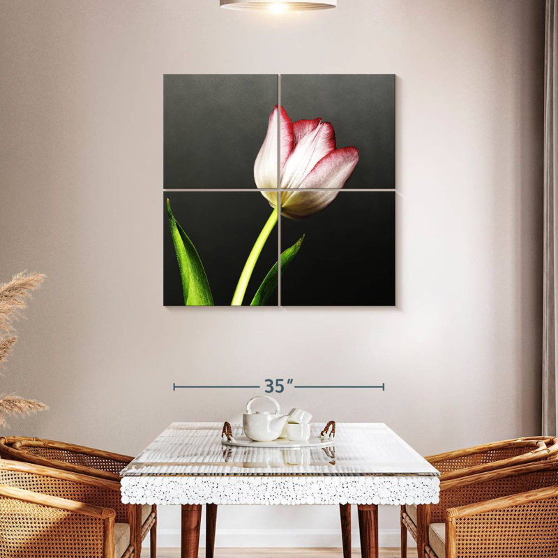 Harnek Red Tipped White Tulips