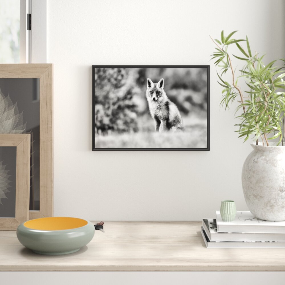 Gerahmtes Wandbild Listiger Fuchs