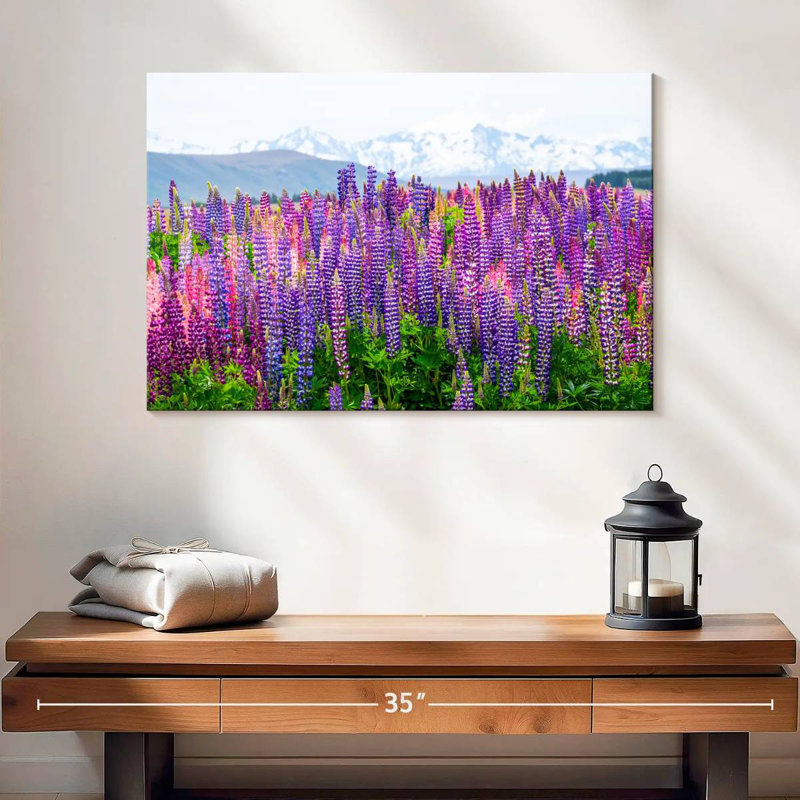 Fleurs de lupin lavande Alvord, H 16 po x l 24 po