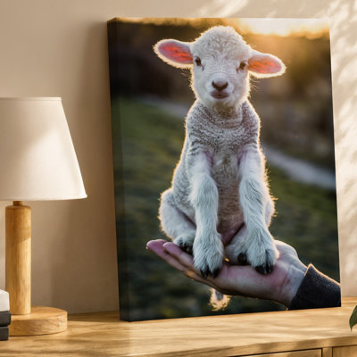 Canvas A Tiny Fluffy White Lamb Its Soft Curly Fleece Glistening Wall Art Like Freshly Fallen Snow Under The Warm Glow Of Golden Canvas Wall Art