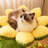 3 Tiers Cat Tree with Condons,Perch,Scratching Posts