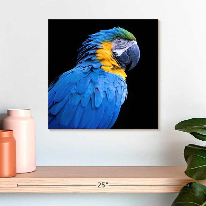 Ara bleu néotropical Brampt, H 16 po x l 16 po