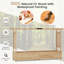 Wood Planter Box-1031468414