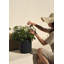 Demi Series Round Planter-97676810-83894852-83894851