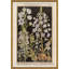 Botanicals Giclee Print by Robert John Thornton