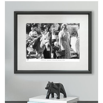 Clovelly, Donkey Stealing Sugar C1960 - Single Picture Frame Print