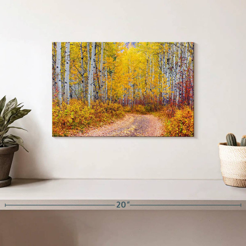 Alvord Aspen Forest Colorado, 8" H x 12" W