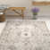 Maleisha Oriental Indoor Rug