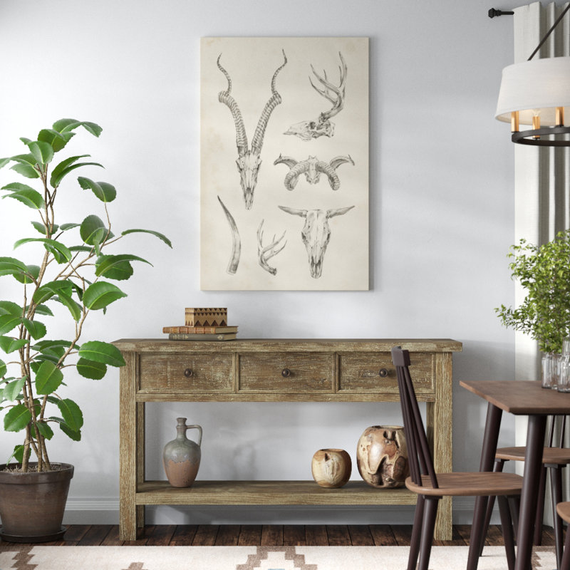 Skull and Antler Study I by Ethan Harper - Graphic Art Print, 122cm H x 81cm W, Black Floater Framed