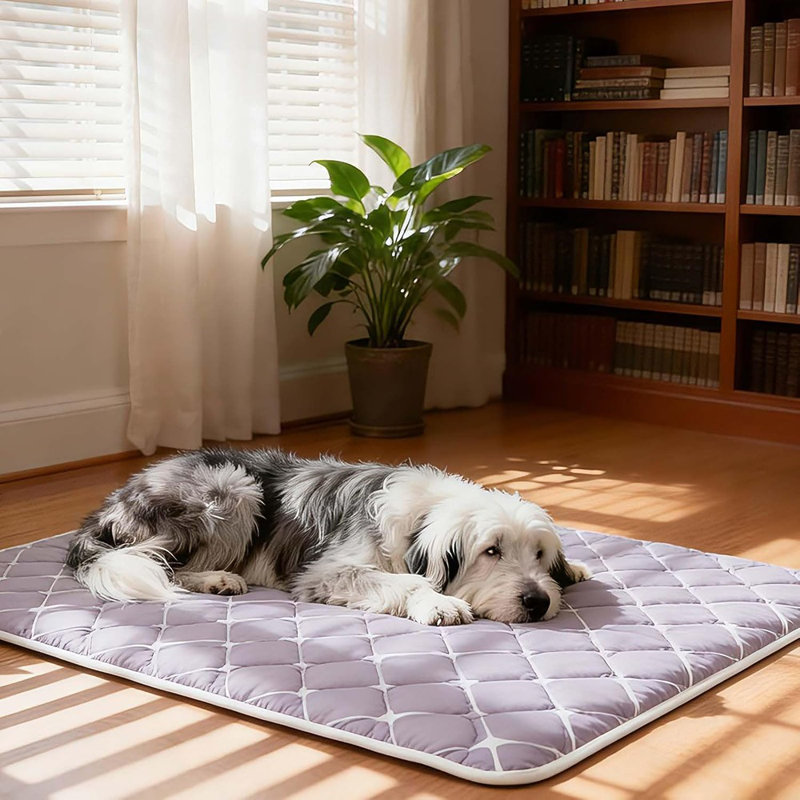 Lit de caisse pour chien ultra-doux - Tapis lavable et antidérapant, de couleur foncée pour la durabilité et le nettoyage facile