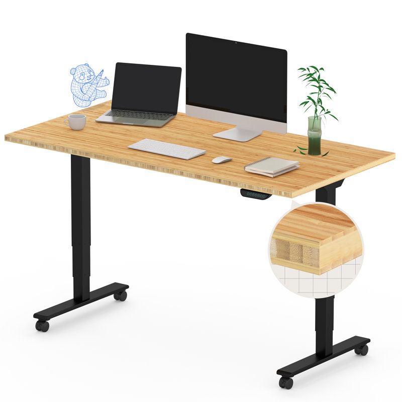 48" X 24" Bamboo Dual-Motor Electric Standing Desk With Cable Management And Wheels, Black, 50" H x 48" W x 24" D