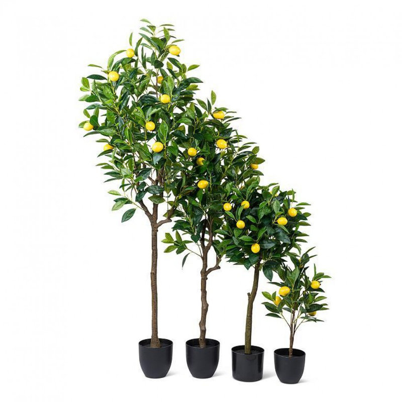 Faux plantes et arbres de citronnier moyen, H 24 po x l 10 po x P 10 po
