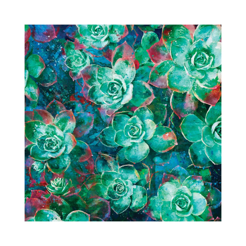 Succulent by Lisa Robinson - Wrapped Canvas Gallery-Wrapped Canvas Giclée, 45.72 cm H x 45.72 cm W x 1.91 cm D