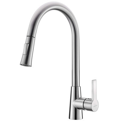 Dyconn Faucet Danube Pull Out Kitchen Faucet
