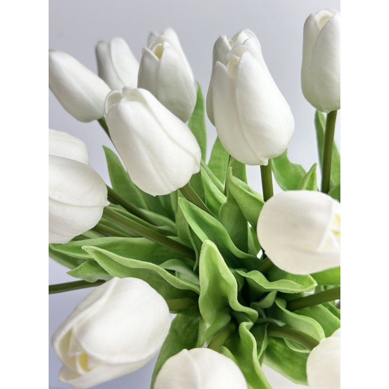 10 tulipes Clairview