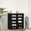 10 Pair Shoe Storage Cabinet