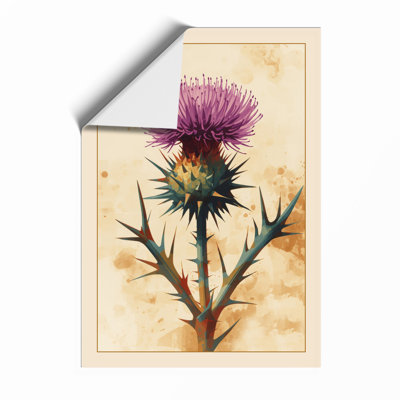Thistle In Bloom Botanical - Print