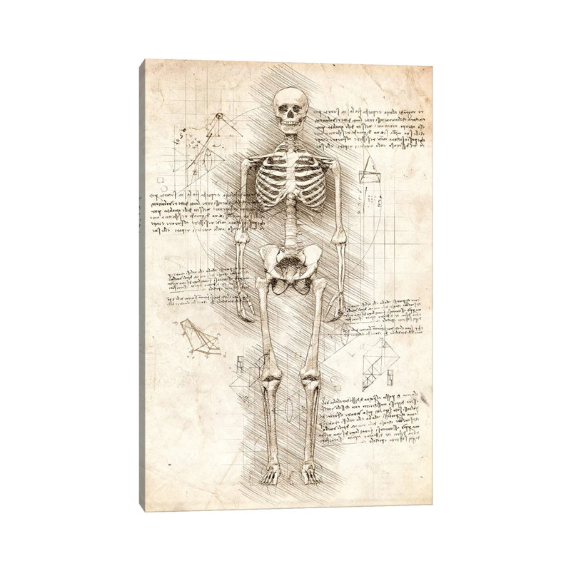 «Humain squelette» par Corinne, impression sur toile tendue, H 12 po x l 8 po x P 0,75 po