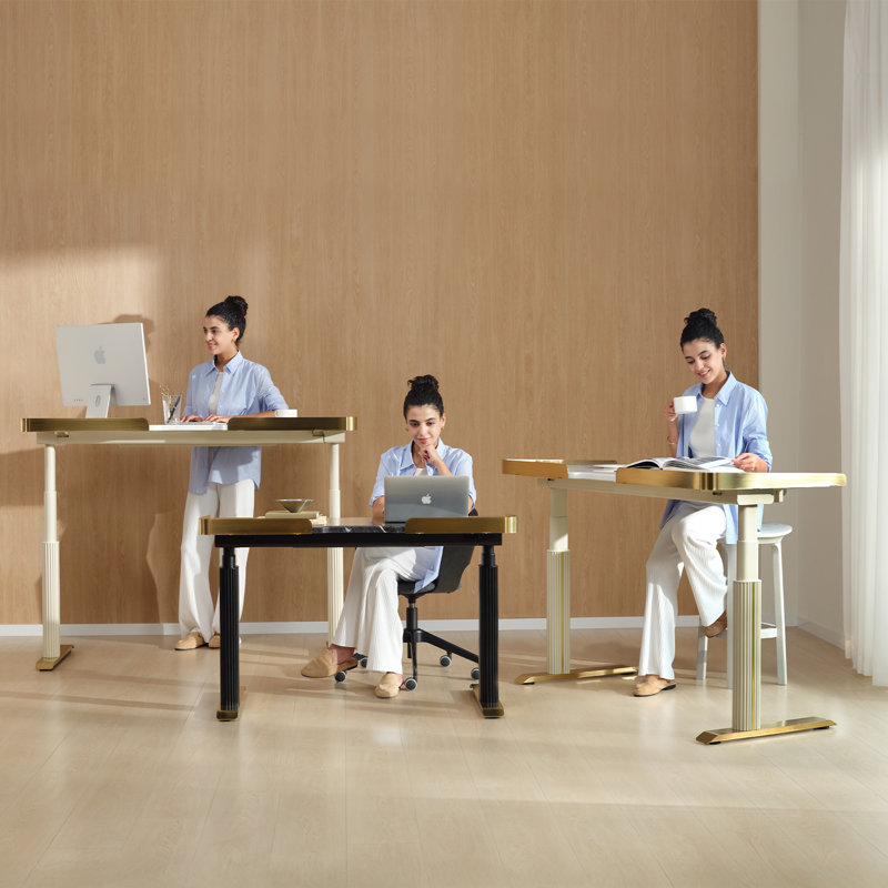 Electric Adjustable Height Standing Desk with Drawers and Memory Controller, Computer Home Office Desk, White