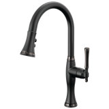 Pull-Down Kitchen Faucet