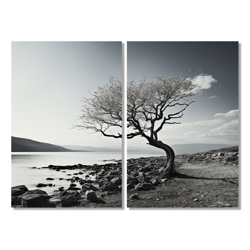 Magnifique arbre noir et blanc, photographie sur lac - Grand lac, 36" H x 48" W, Wrapped Canvas, Does Not Apply